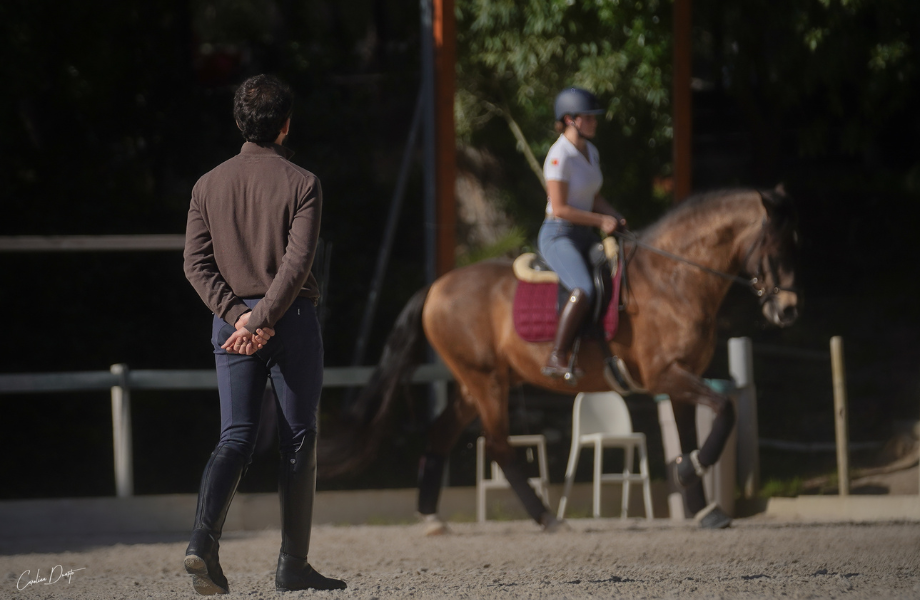 10-Nov-18-2025-11-04-45-6236-AM