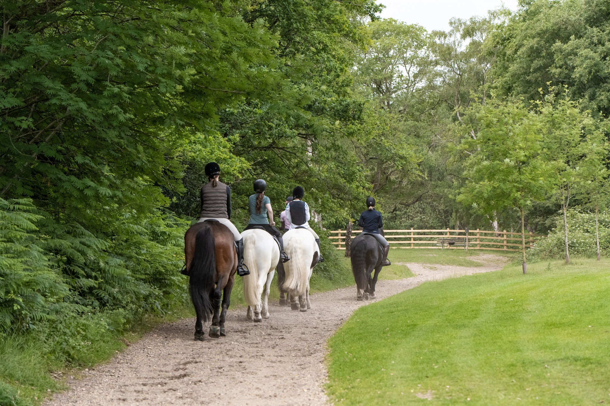 10 Best Riding Schools in London for Beginners (2025 Guide)
