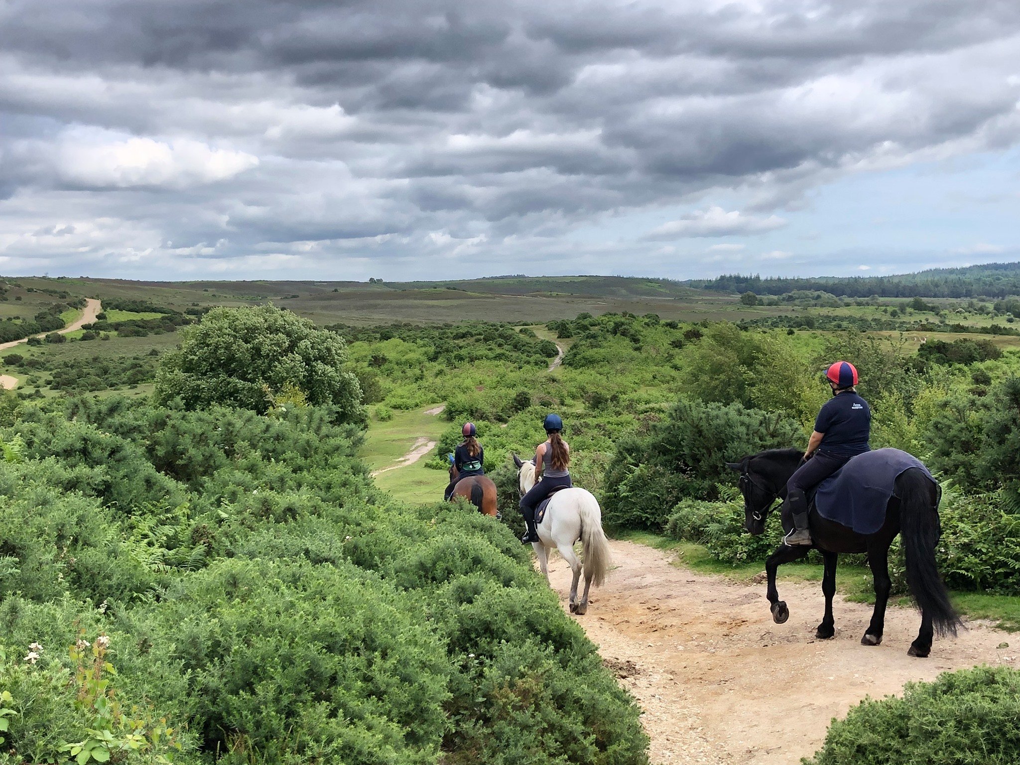 Best Riding Schools in Hampshire, South East England