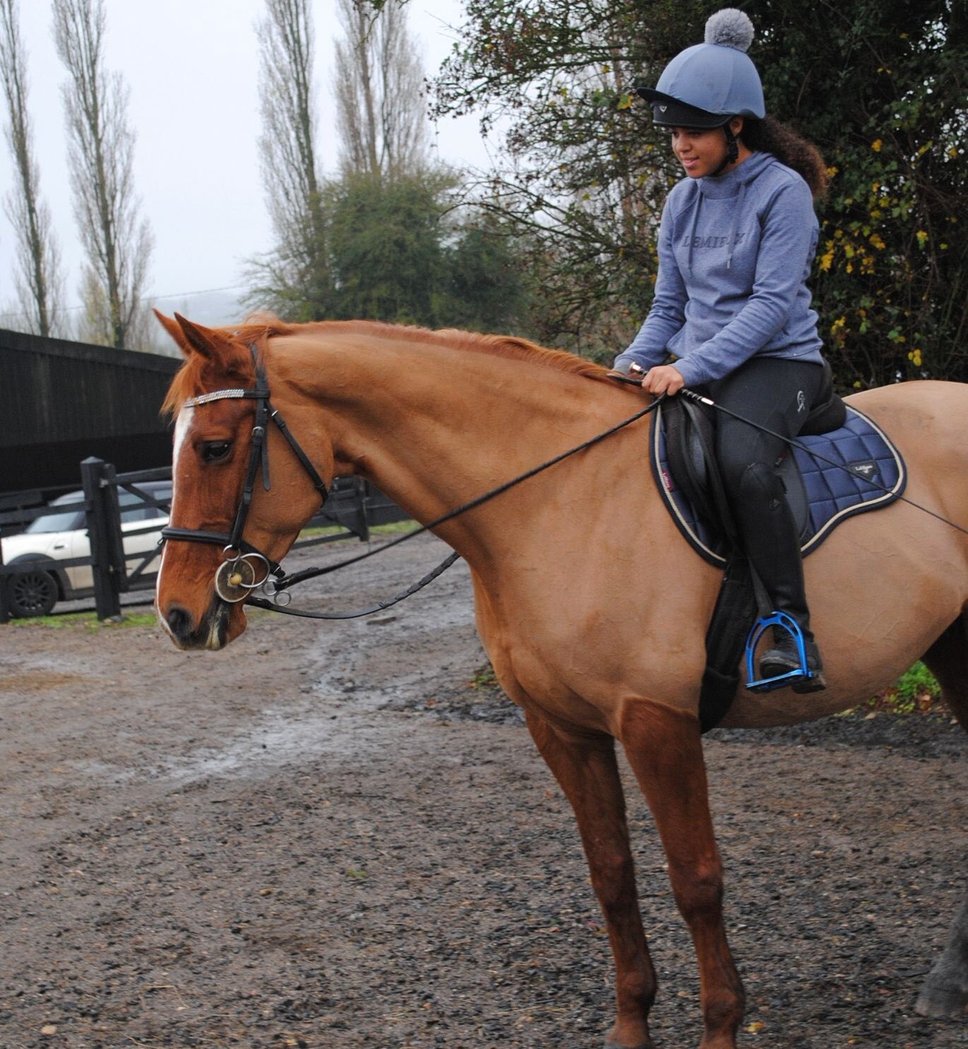 Top 7 Riding schools in Cambridgeshire, East England