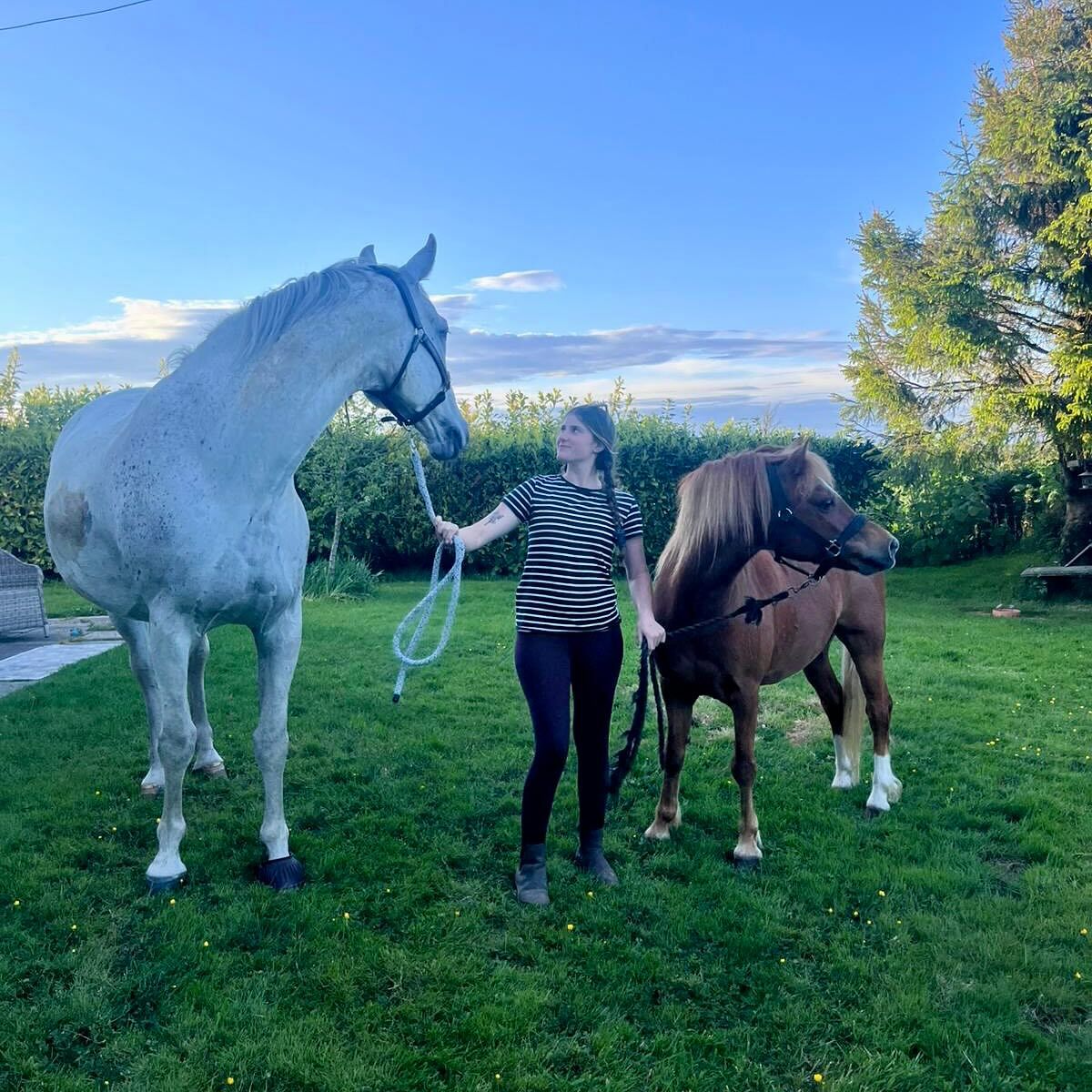 Best Riding Schools in Surrey, South East England