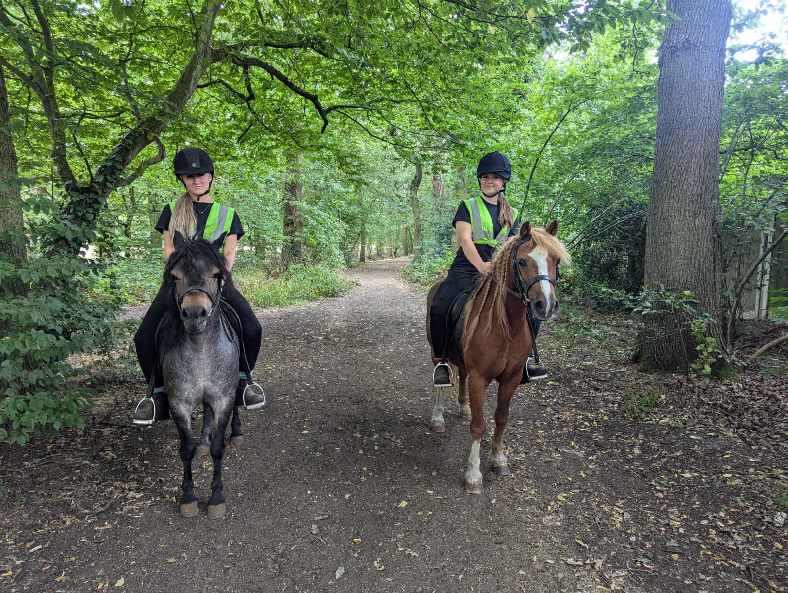 Top 7 Riding schools in Essex, East England