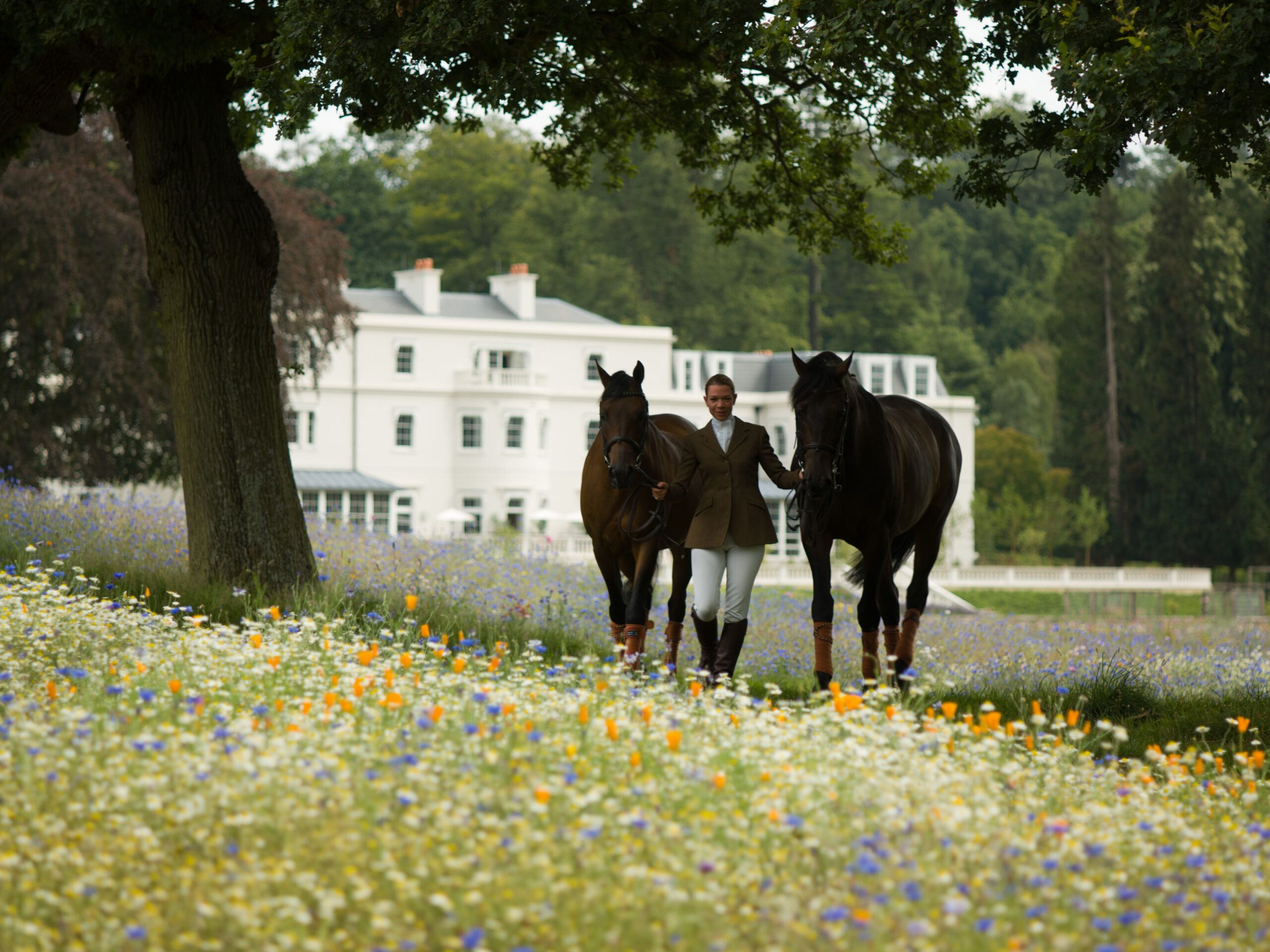 Coworth-Park-Horses-9-scaled