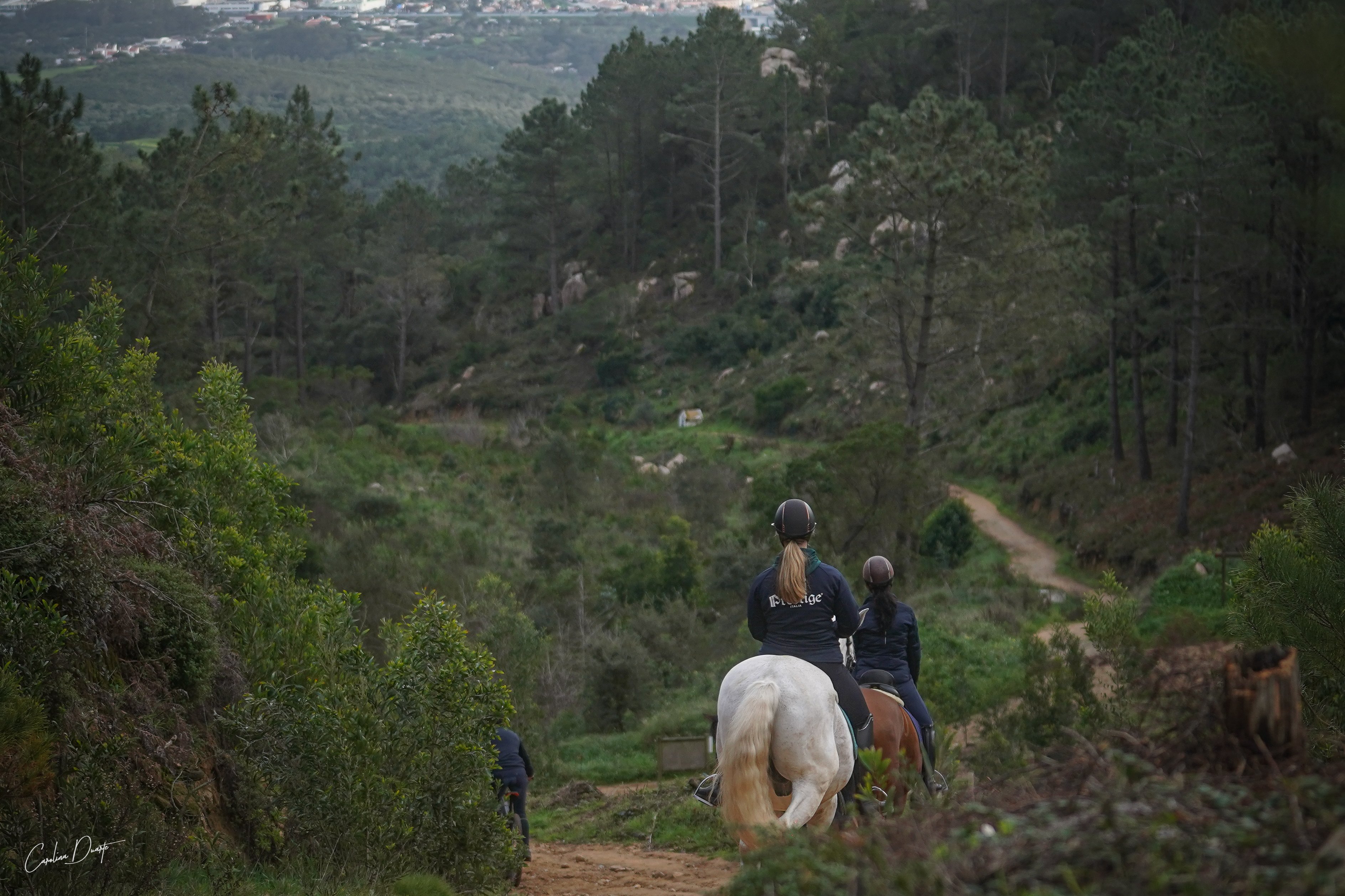 Horse riders on a forest trek in Portugal.