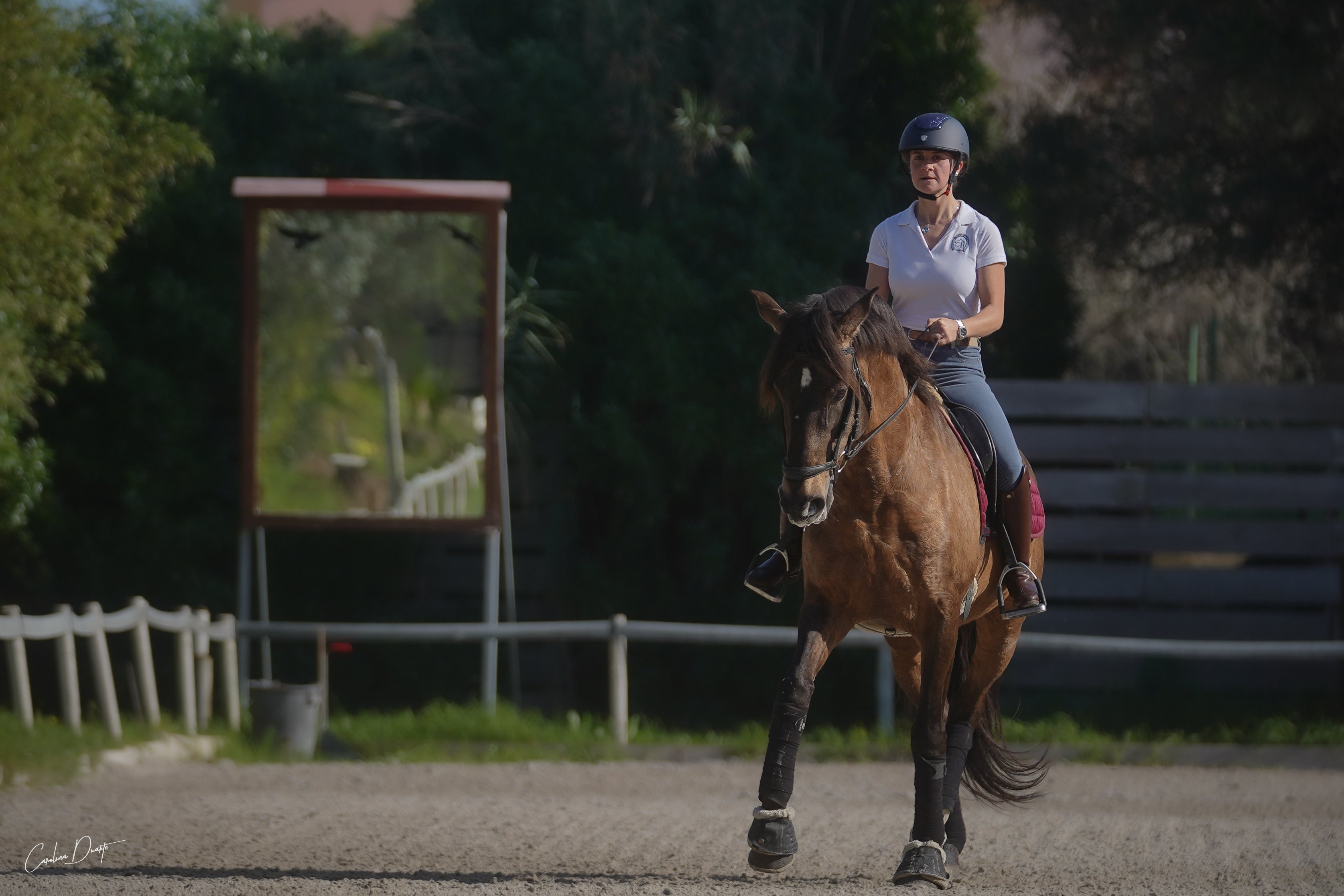 Horse rider on a dressage schoolmaster in Portugal.