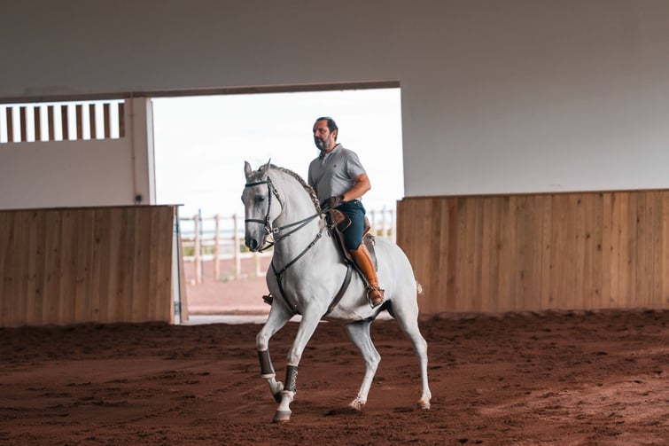 DSC06077 - Lusitano Garden Villas