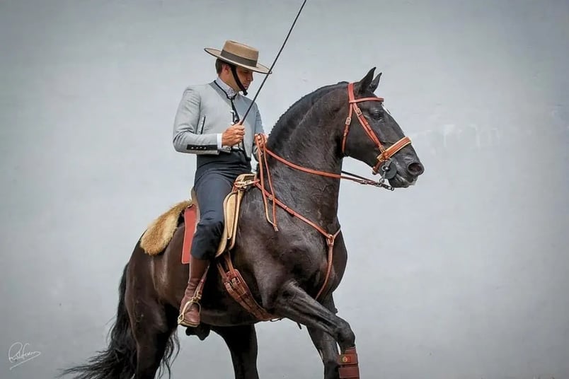 Email Product Images (6)-1