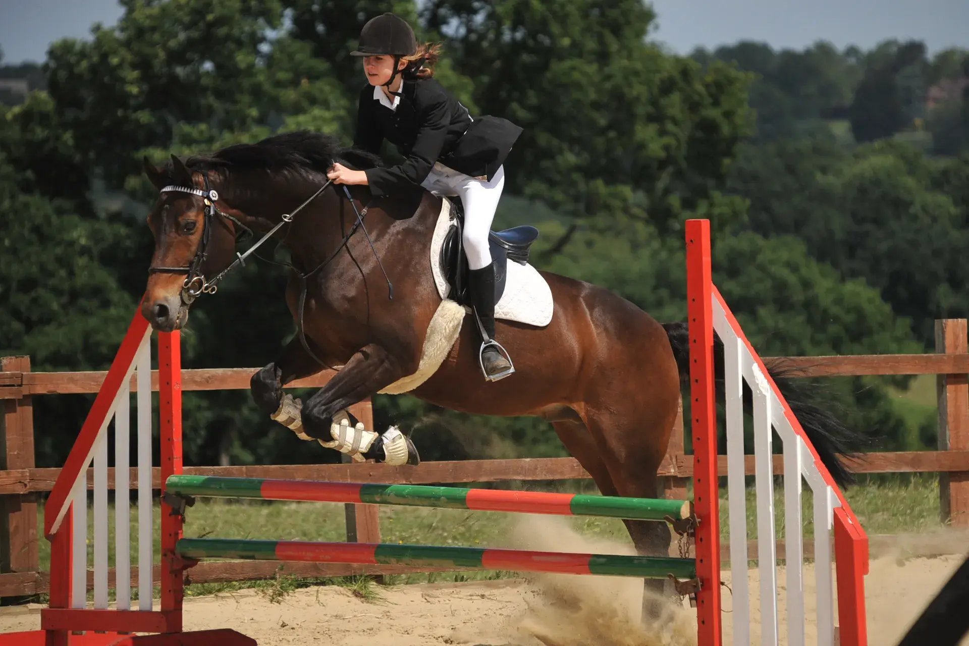 Frith-Manor-Equestrian-Centre-London-United-Kingdom-TortoisePathcom-3_11zon