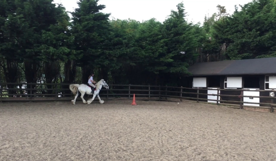 10 Best Riding Schools in London for Beginners (2025 Guide)