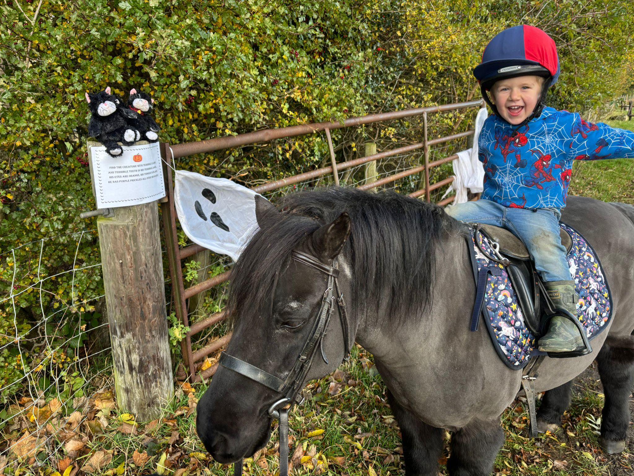 Hunston Riding School Top 8 Horse Riding Schools in North Yorkshire, North England