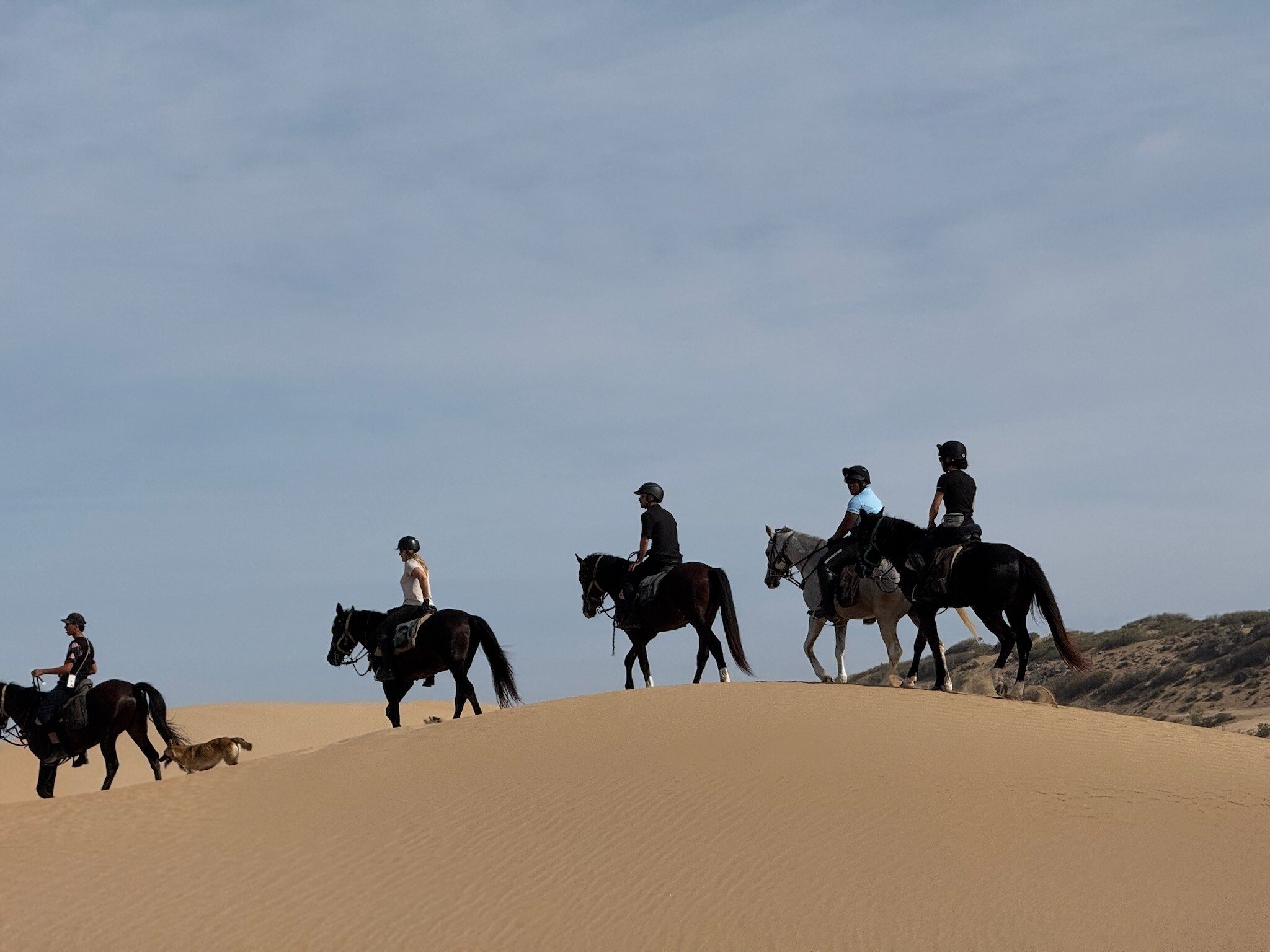 Group of riders trekking through the desert in Morocco.