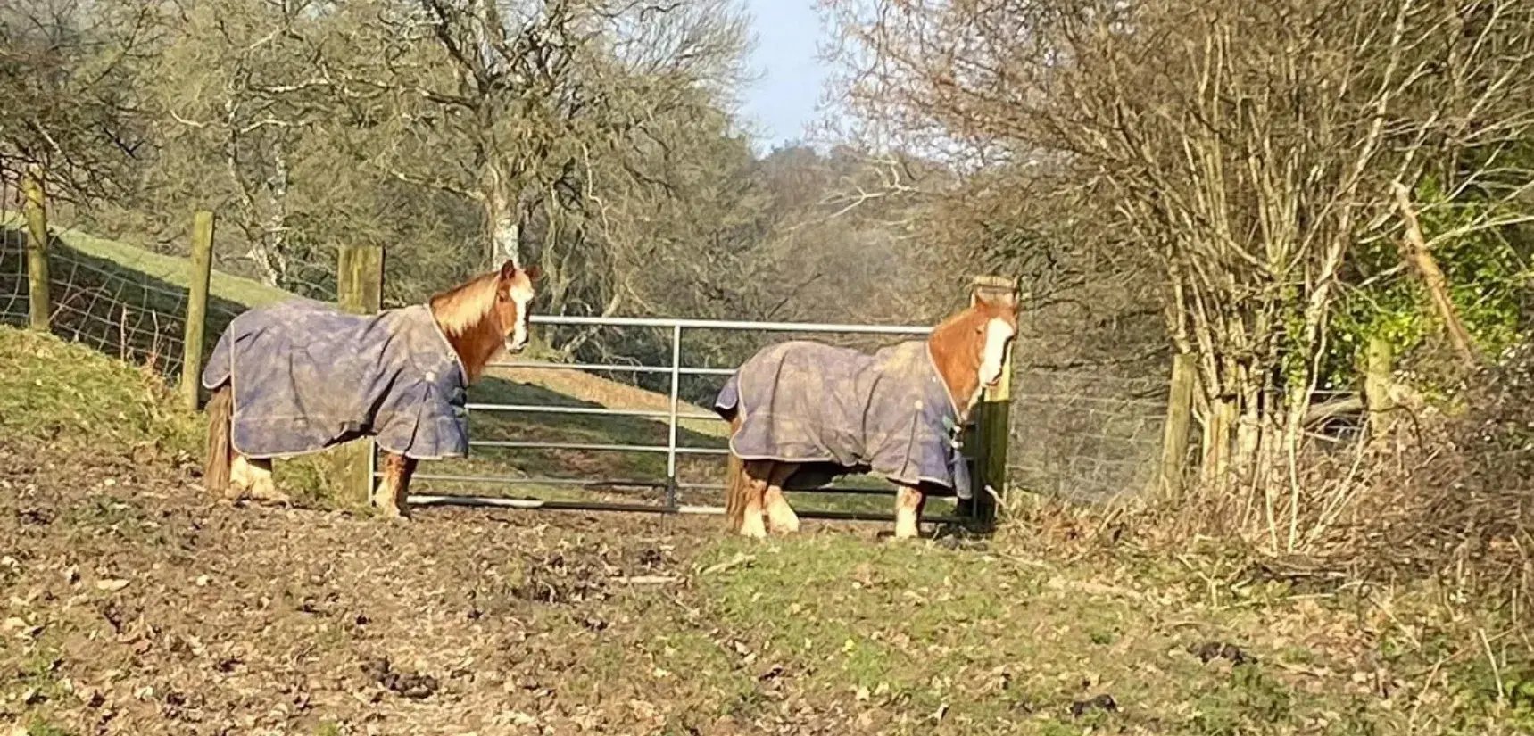 Overview pages (10)_11zon