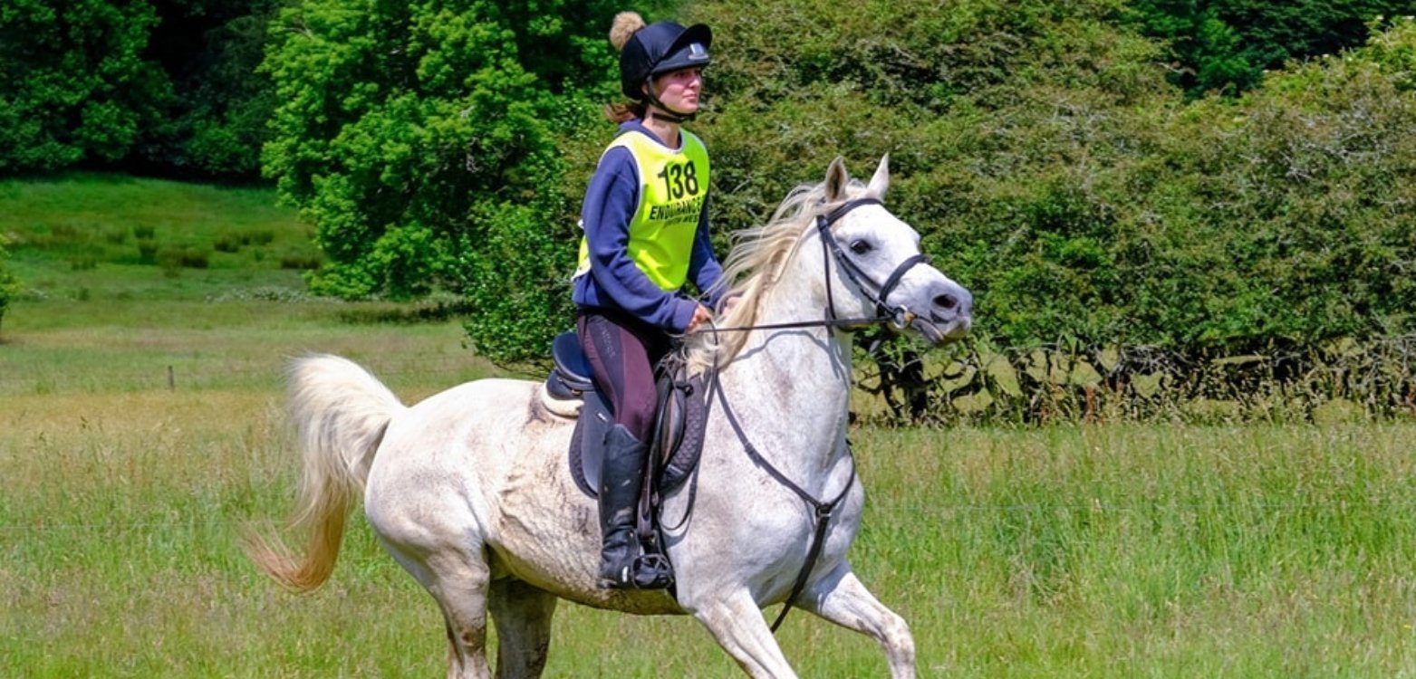 8 Great Riding Schools in Cornwall (for Lessons and Beach Hacks)