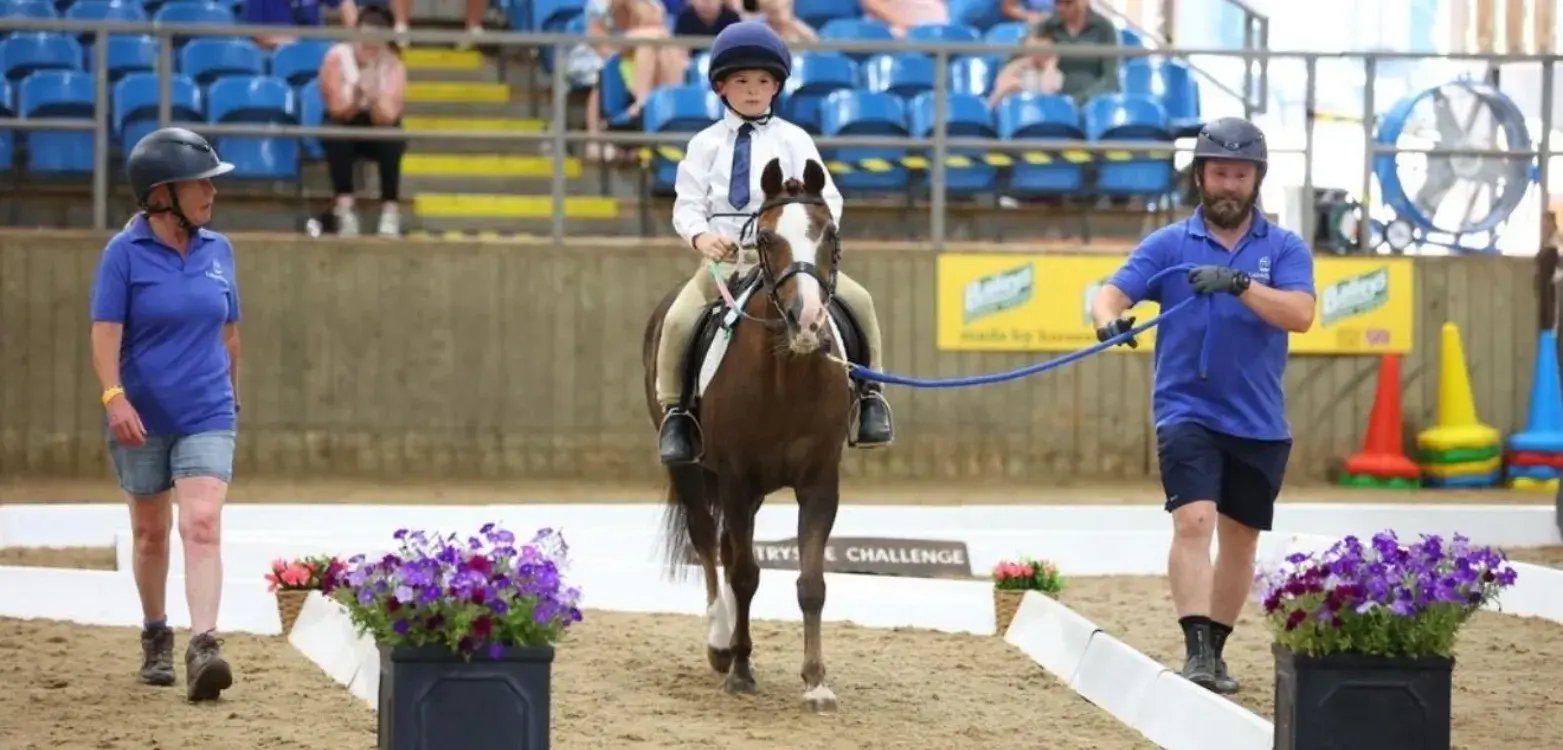 Overview pages (12)_11zon