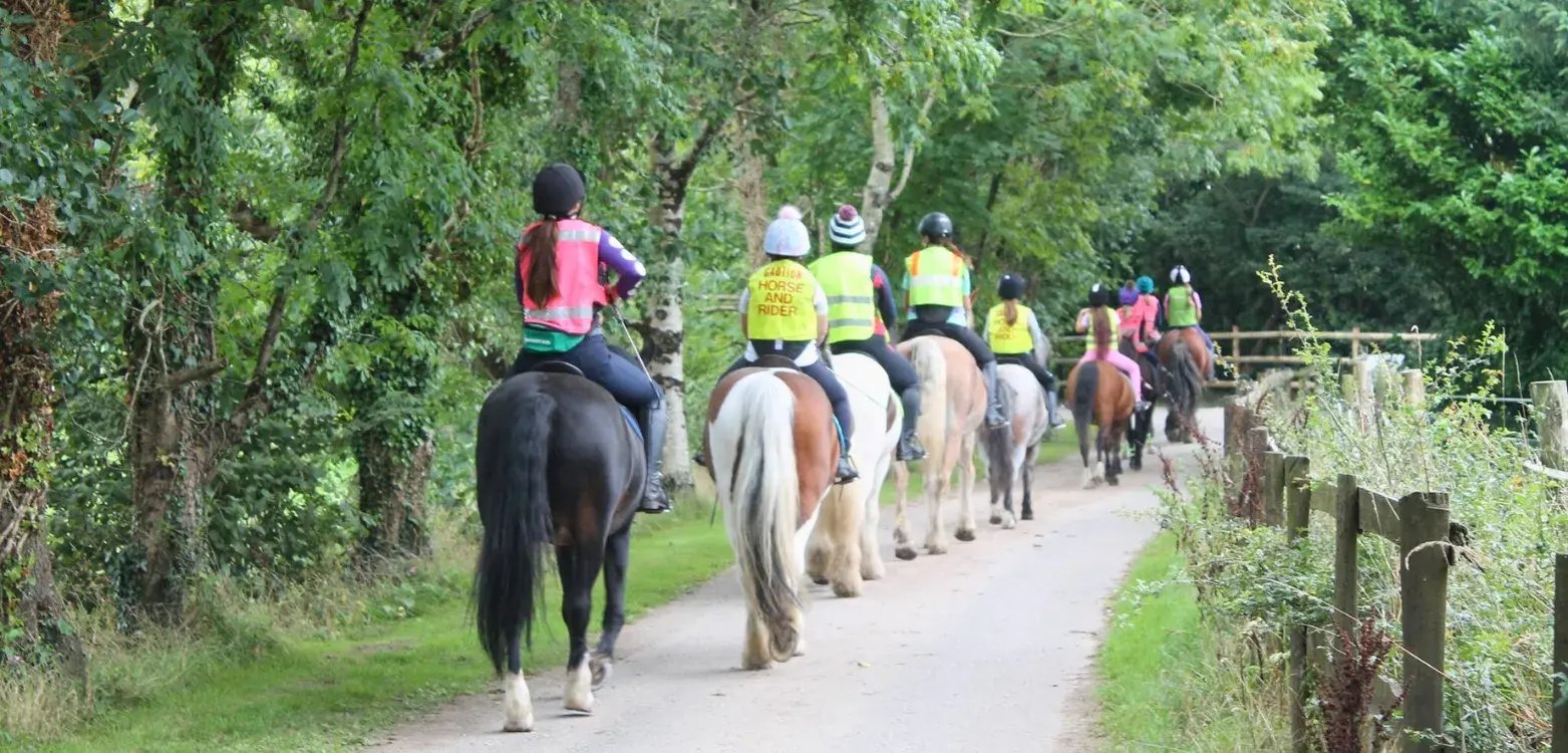 Overview pages (14)_11zon