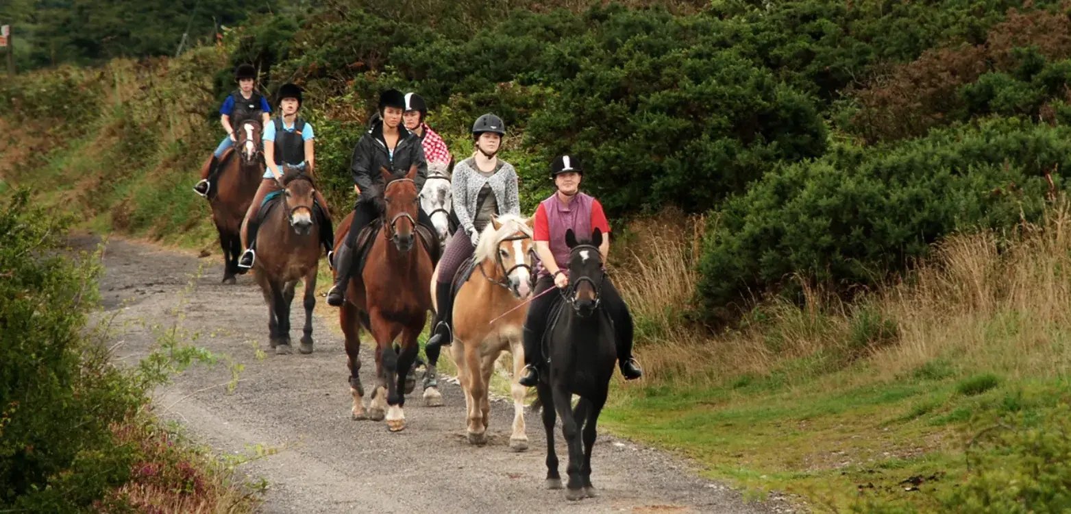 Overview pages (15)_11zon