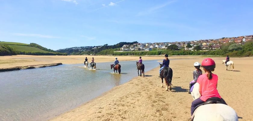 Overview pages (16)_11zon