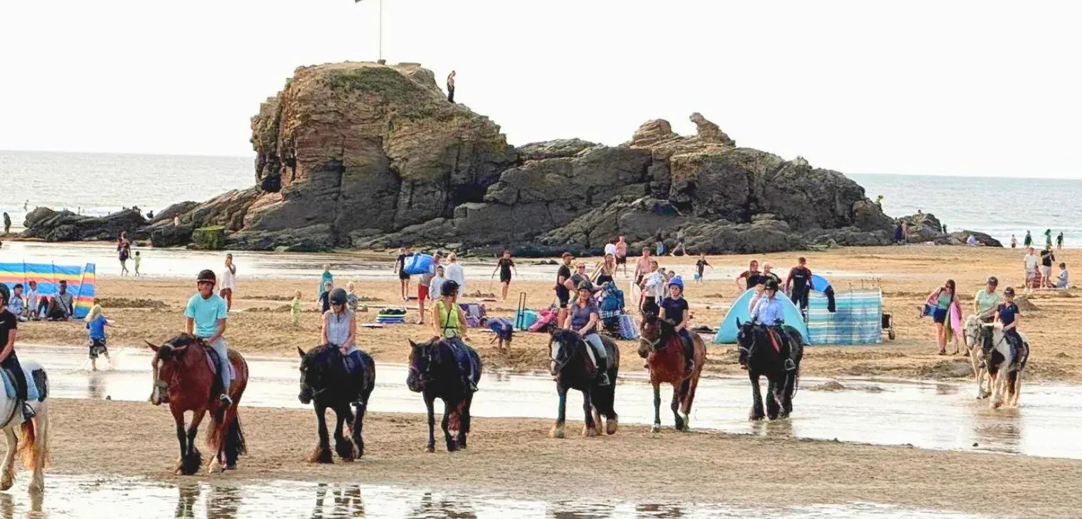 Overview pages (18)_11zon