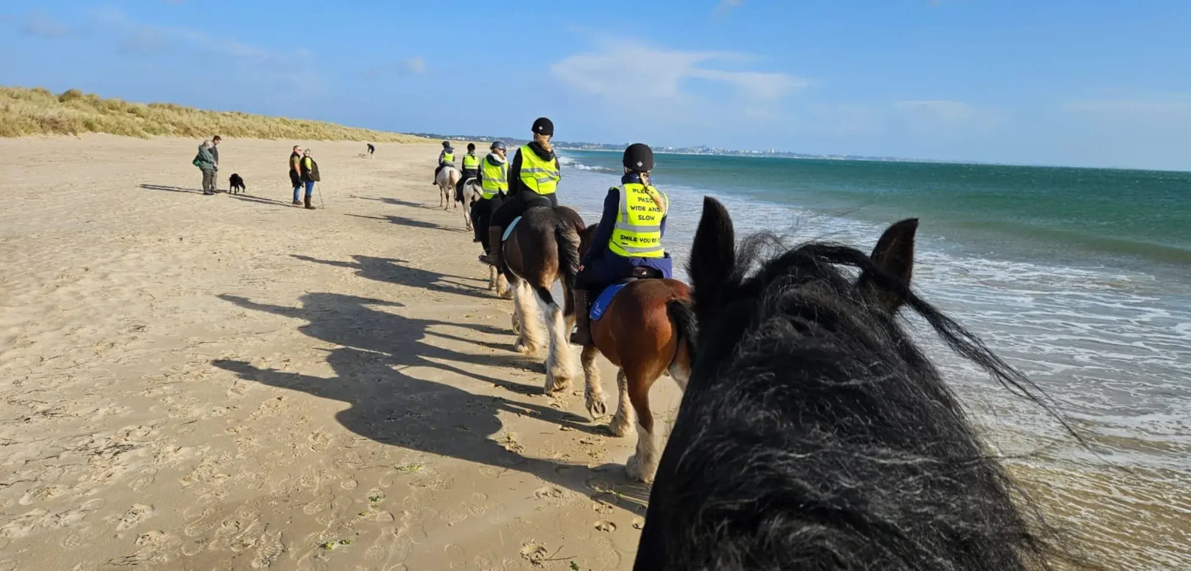 Overview pages (24)_11zon