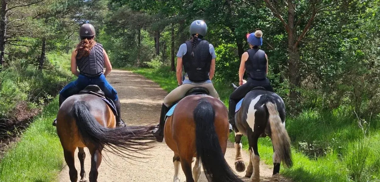 Overview pages (27)_11zon