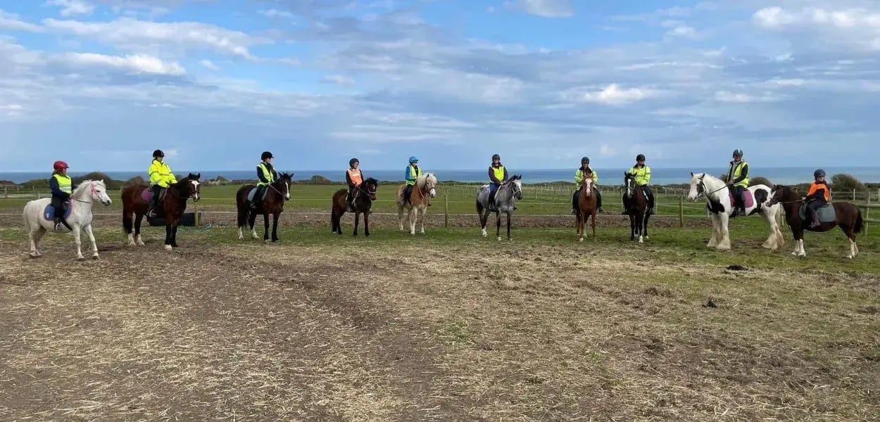 Overview pages (28)_11zon