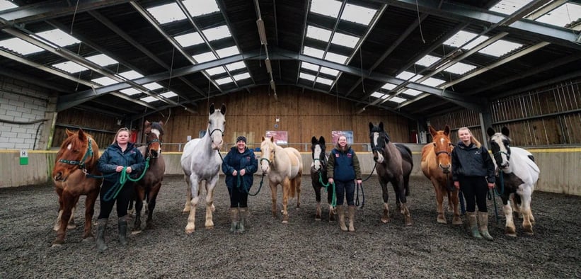 Overview pages (3)_11zon