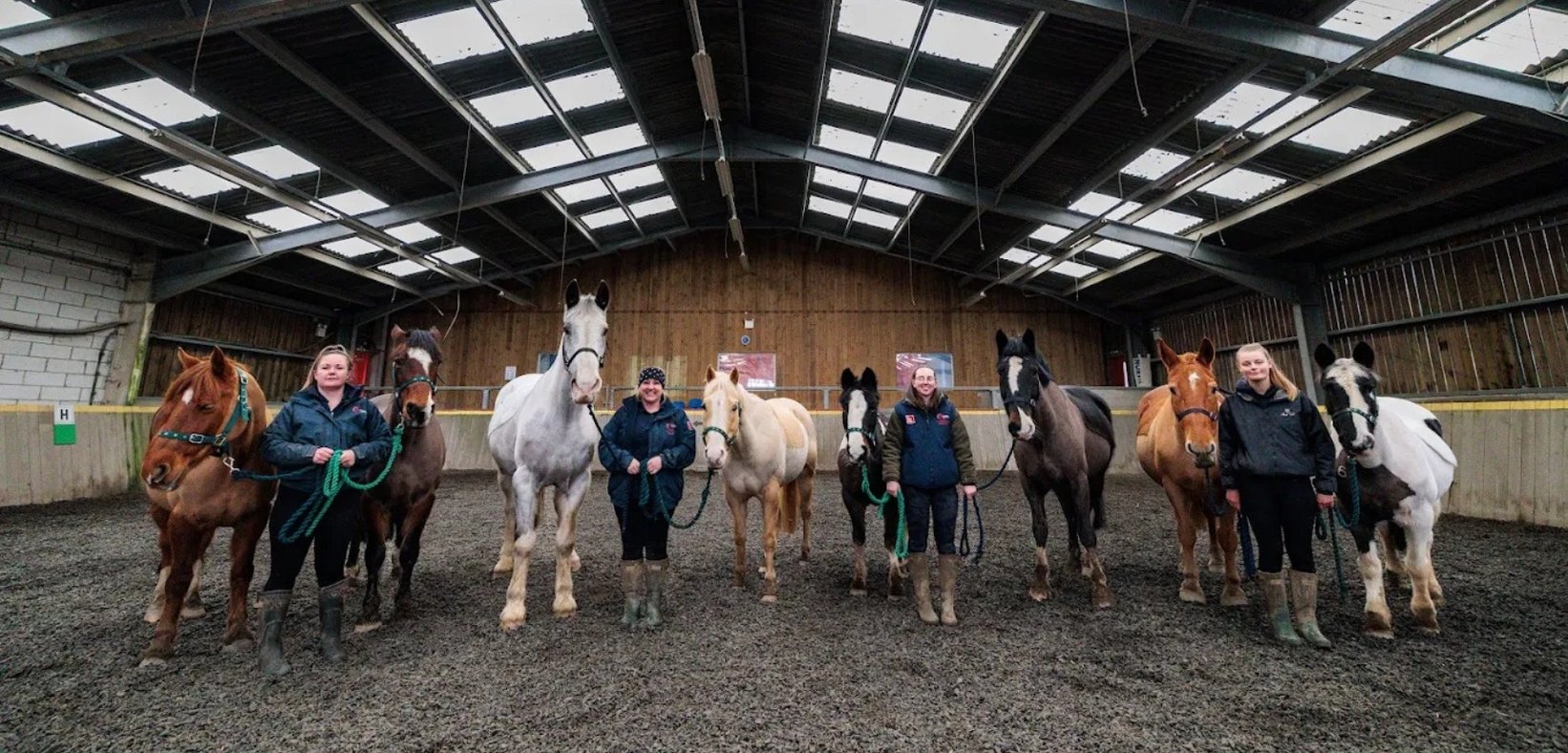 7 Best Riding Schools in Devon, South West England