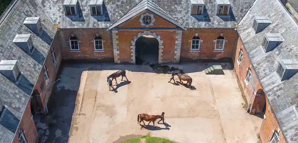 Overview pages (30)_11zon