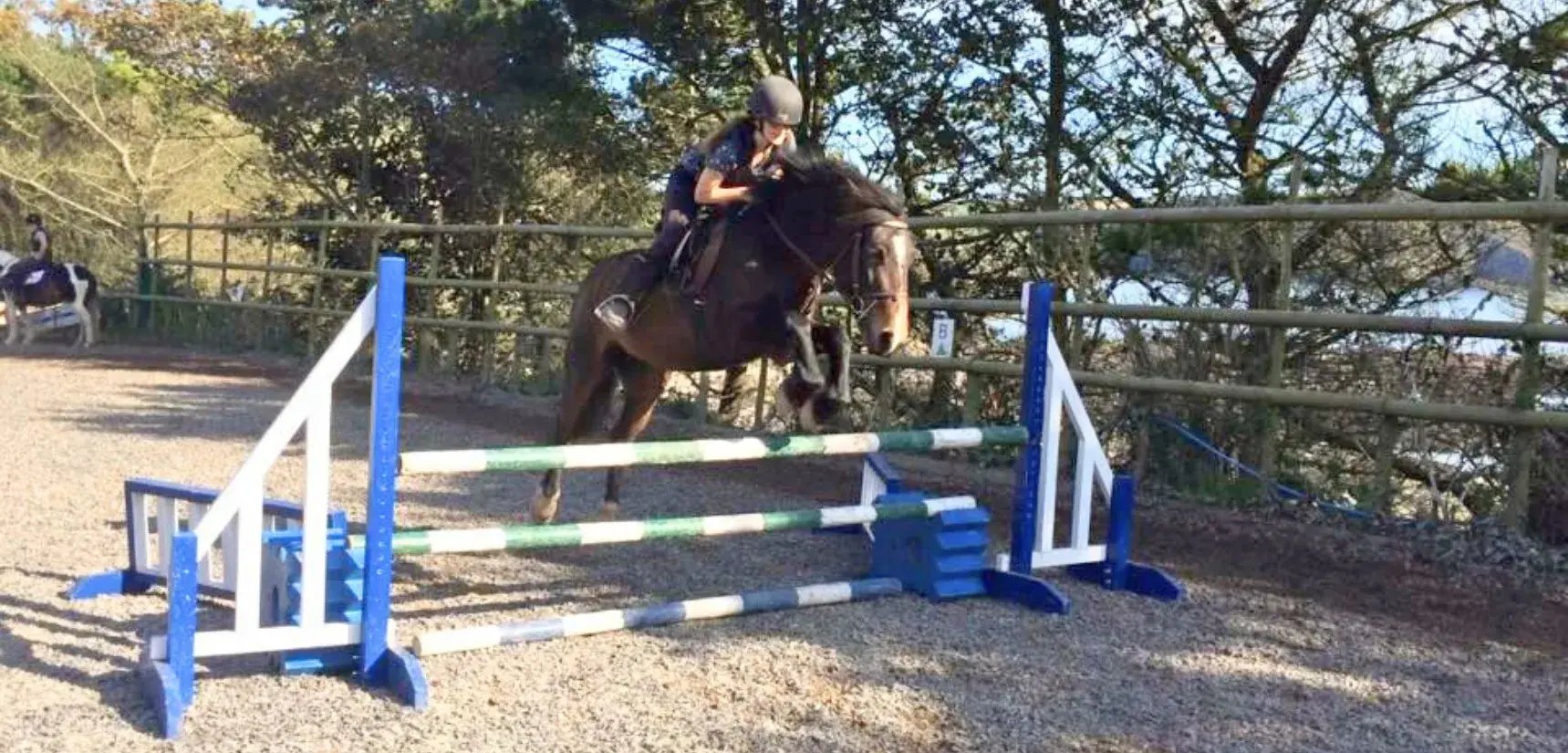 Overview pages (6)_11zon