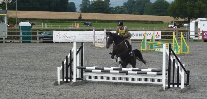 Overview pages (8)_11zon