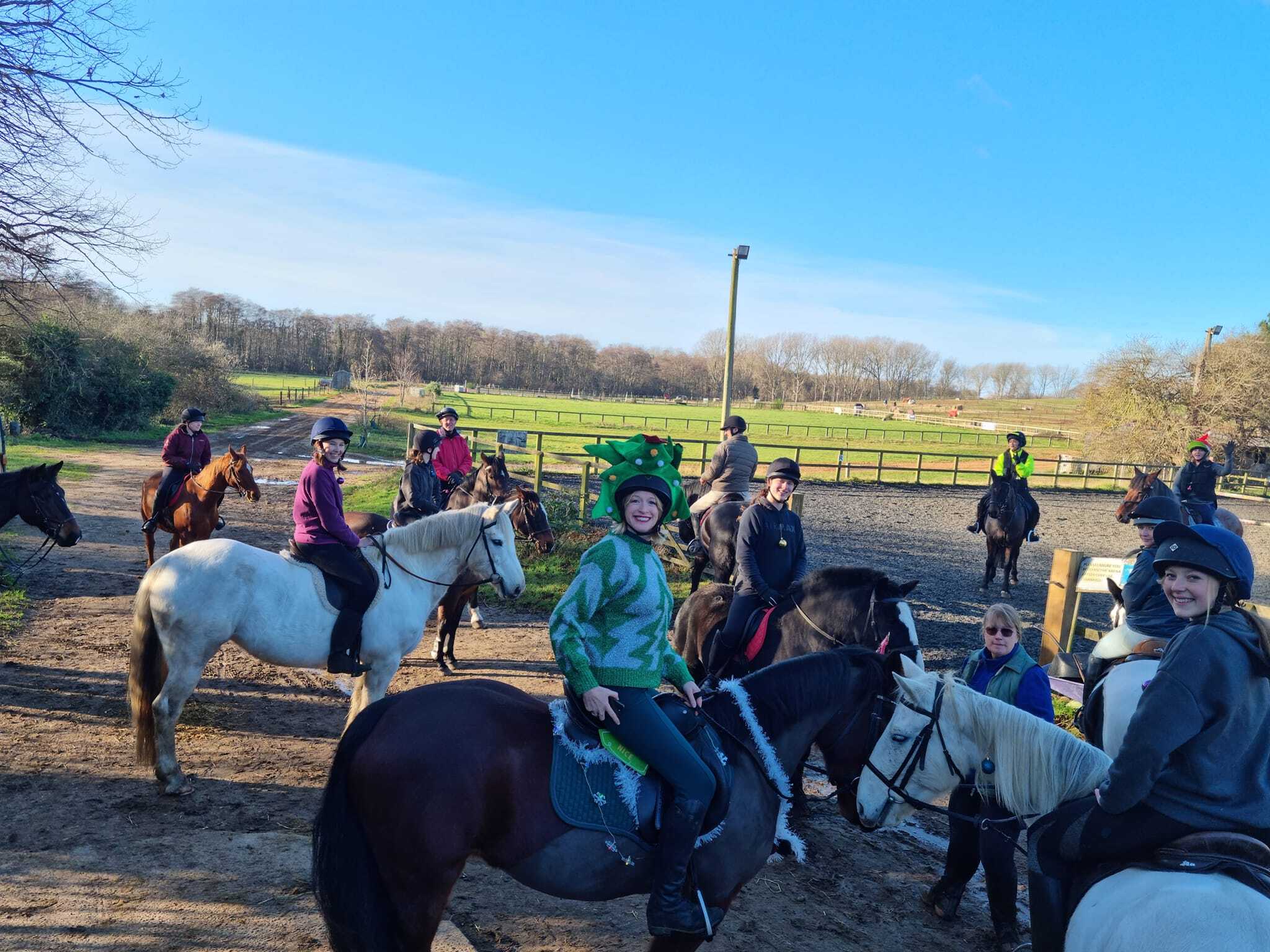 Polegate Horse Riding Top 7 Riding schools in Suffolk, East England