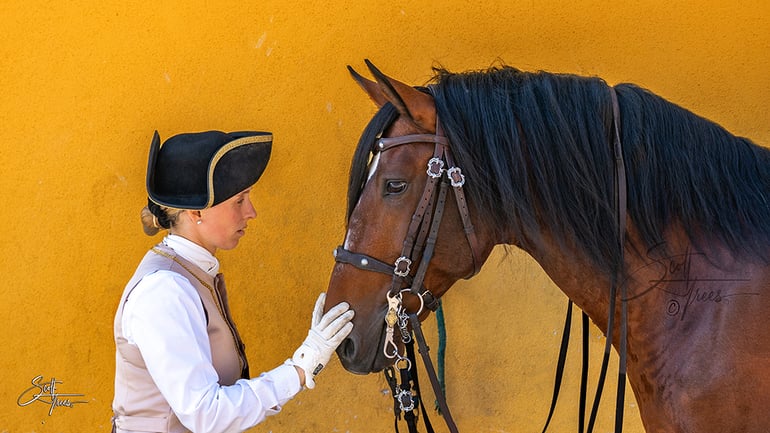 Port24-424-1221-2 copy 2