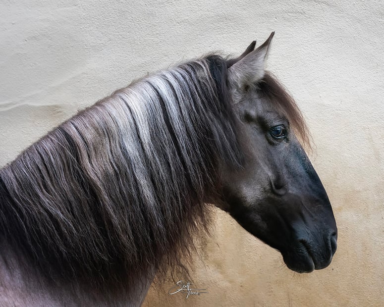 Portugal-Saaria--7 copy 2