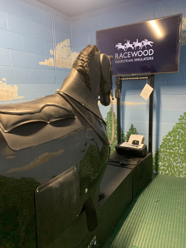 RoboHorse1