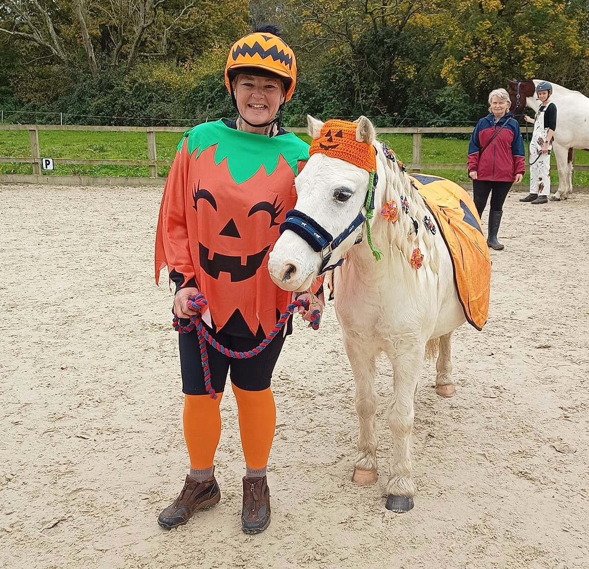 Best Riding Schools in Hampshire, South East England