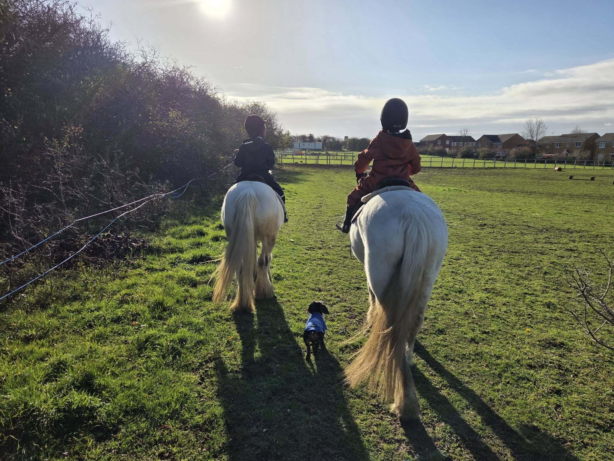 Hunston Riding School Top 7 Riding schools in Hertfordshire East England