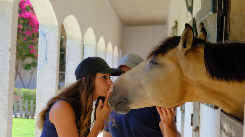 WhatsApp Image 2024-10-22 at 1.20.46 PM_7325