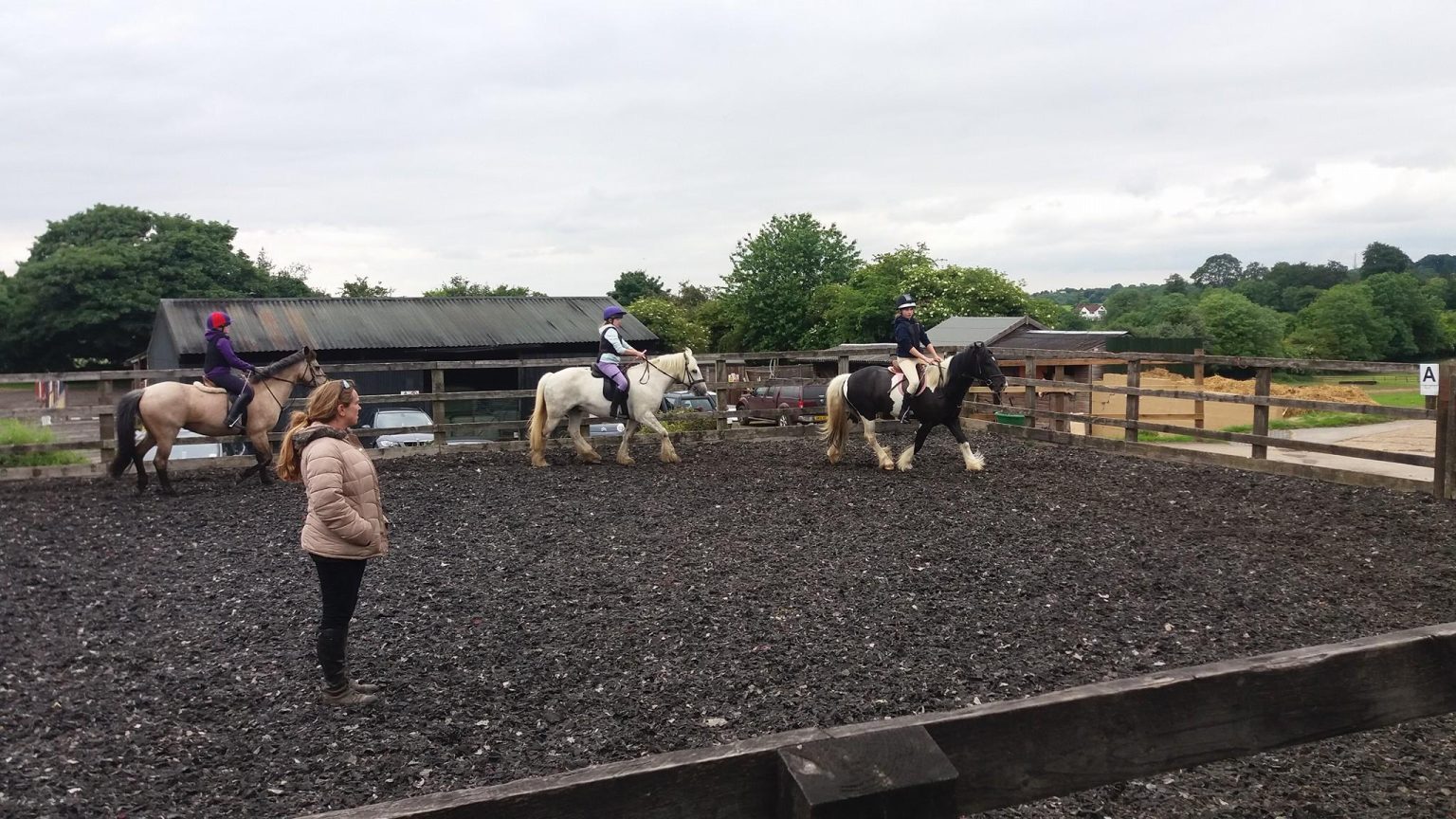 Best Riding Schools in Surrey, South East England