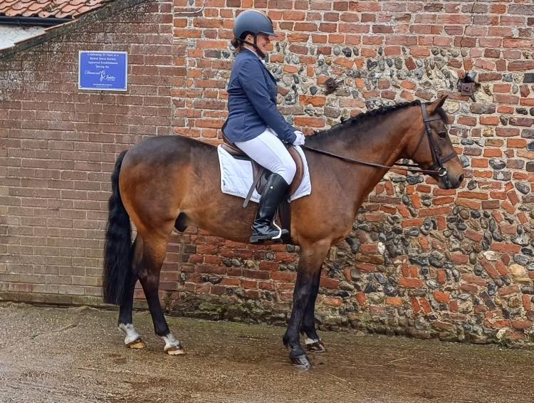 Top 7 Riding schools in Norfolk, East England