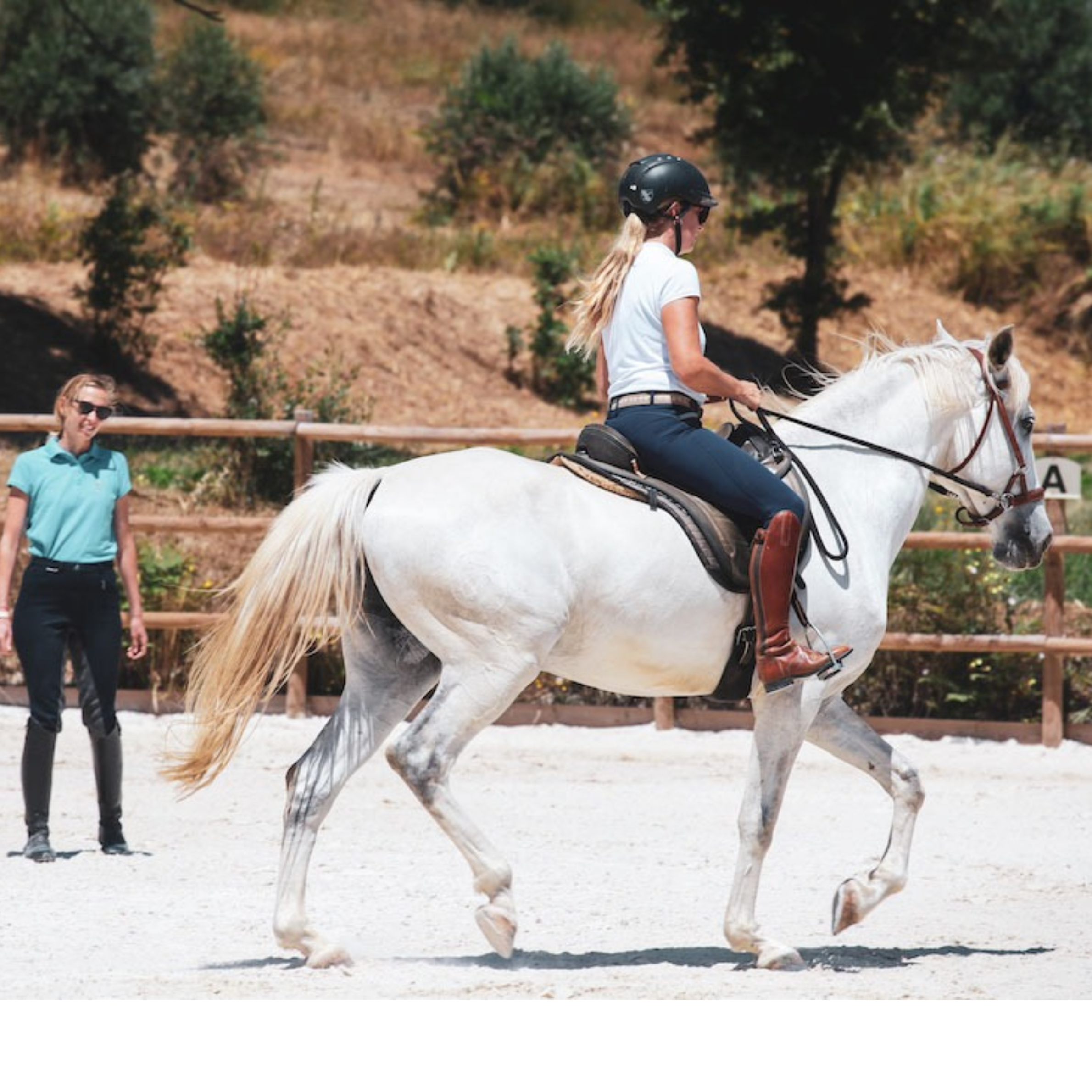 Your paragraph text (18)