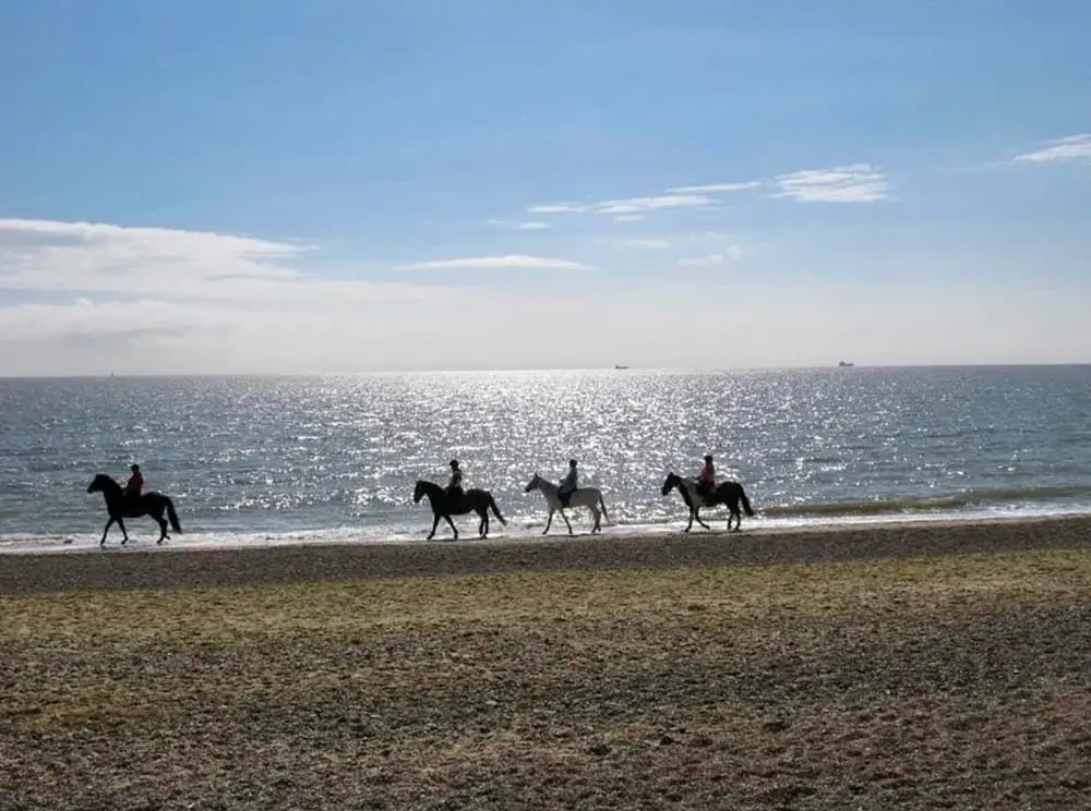beach-rides-pakefield-riding-school-2