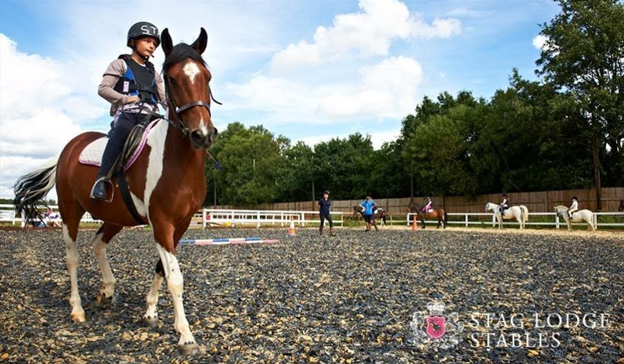10 Best Riding Schools in London for Beginners (2025 Guide)