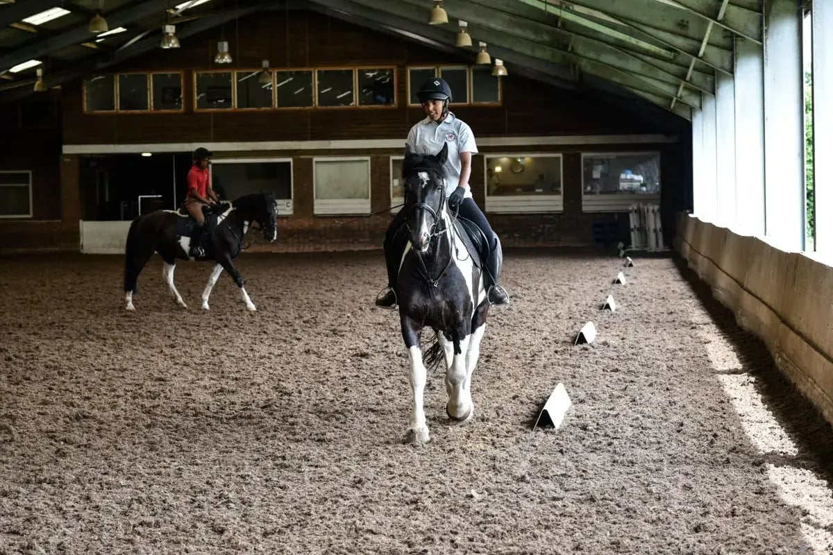 horse-riding-lesson-at-04132703_11zon