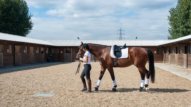 lee-valley-riding-centre-5-full-livery-in-london-8fde911ea426012323d39c2e0d153b71 (1)