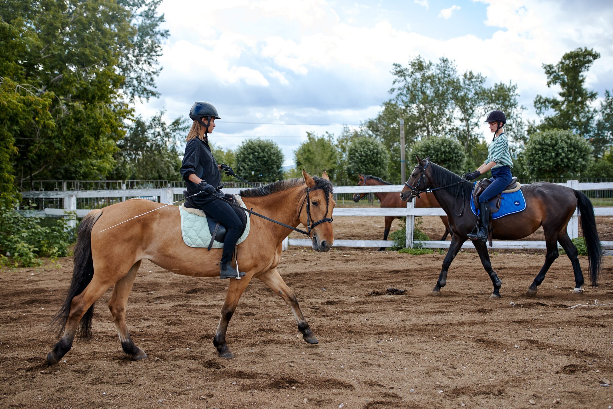 10 Best Riding Schools in London for Beginners (2025 Guide)