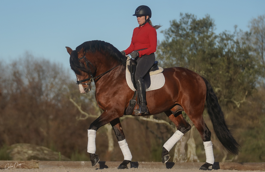 3-Nov-13-2025-11-53-26-6704-AM