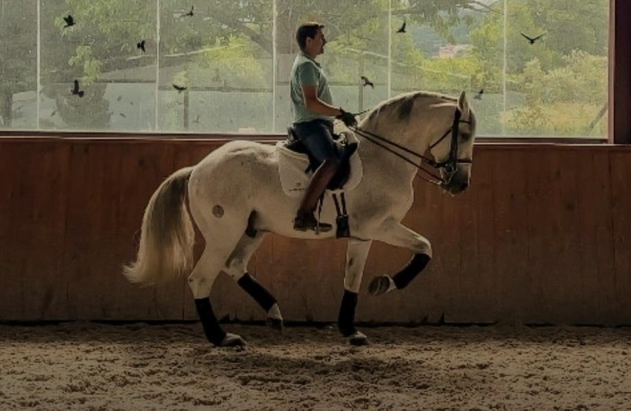 Booking Page images Sized (1)