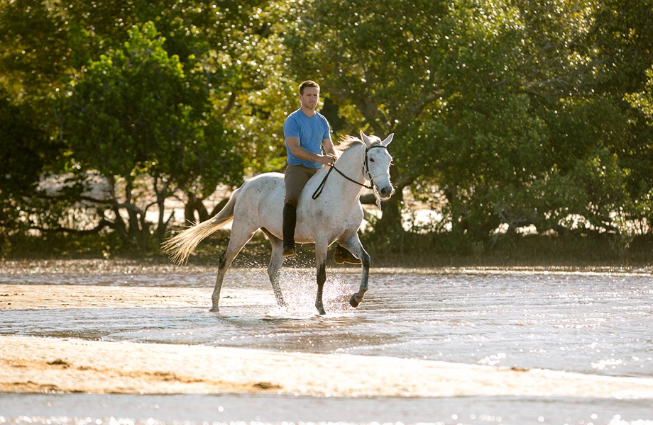 How to Get Started - Riding Lessons for Beginners